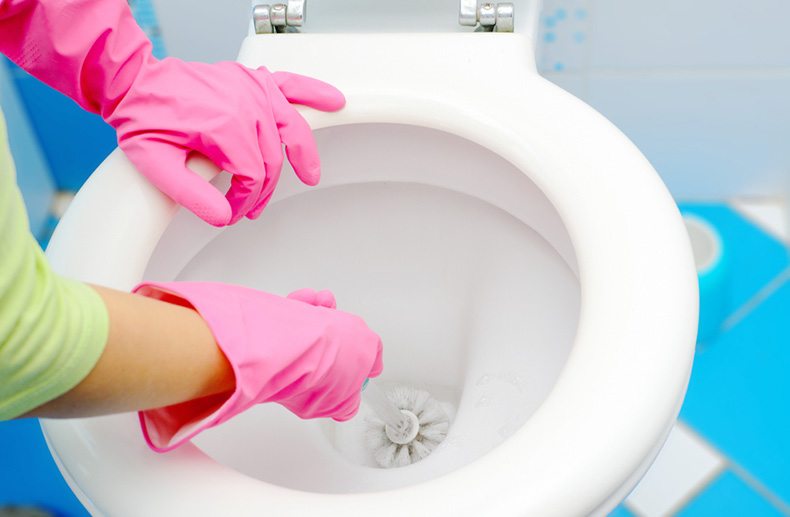 cleaning toilet with brush