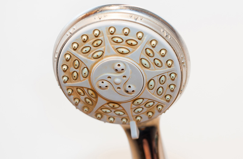 dirty shower head