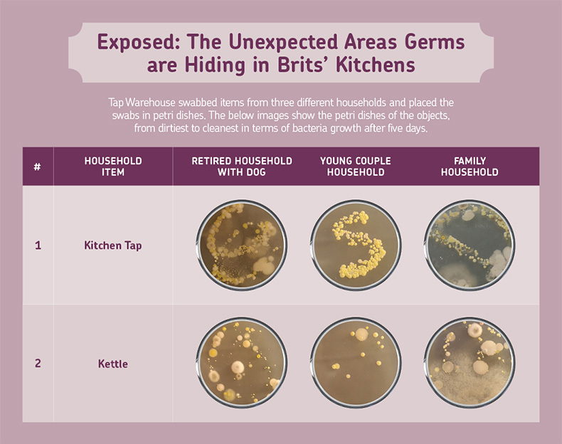 germs-in-british-kitchens