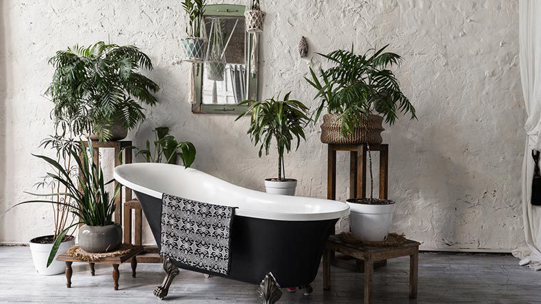 bath with bathroom plants